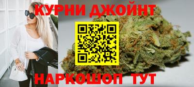 прущие грибы Кандалакша