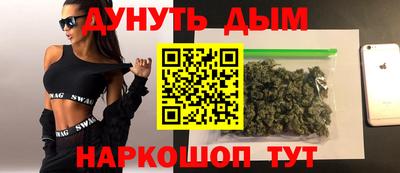 прущие грибы Кандалакша