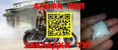 прущие грибы Кандалакша
