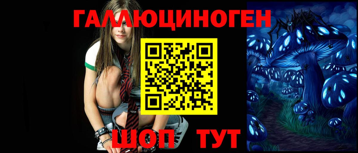 Гурьевск  Псилоцибиновые грибы мицелий  Вход с VPN  купить наркотик  Галлюциногенные грибы Cubensis 
